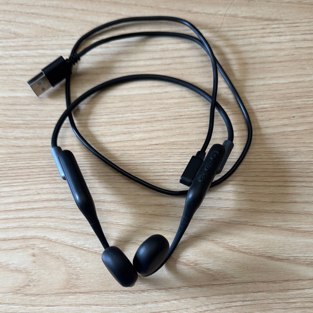 HiFi Walker Black Wireless Earbuds